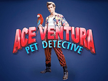 Видео-слот Ace Ventura