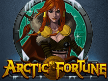 Игровой аппарат Arctic Fortune