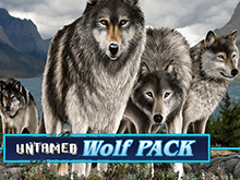 Игровой автомат Untamed Wolf Pack