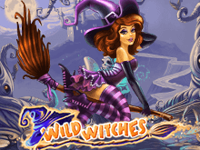 Игровой аппарат Wild Witches