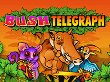 Игровой слот Bush Telegraph