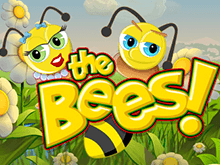 Игровой аппарат The Bees