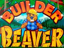 Виртуальный автомат Builder Beaver