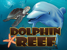 Игровой автомат Dolphin Reef