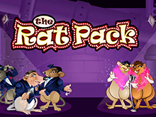 Игровой аппарат The Rat Pack